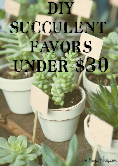 DIY succulent favors under 30